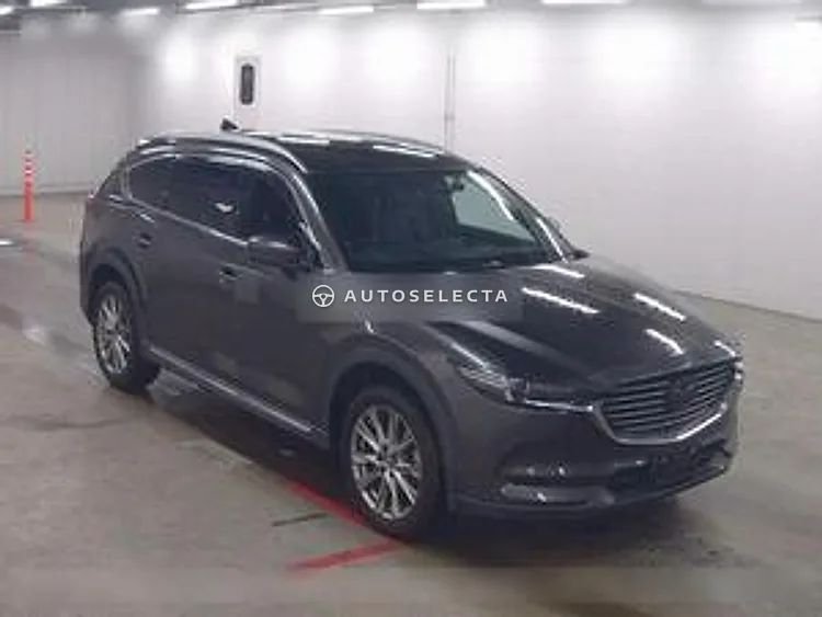 Mazda CX-8 2017, photo 1 of 1