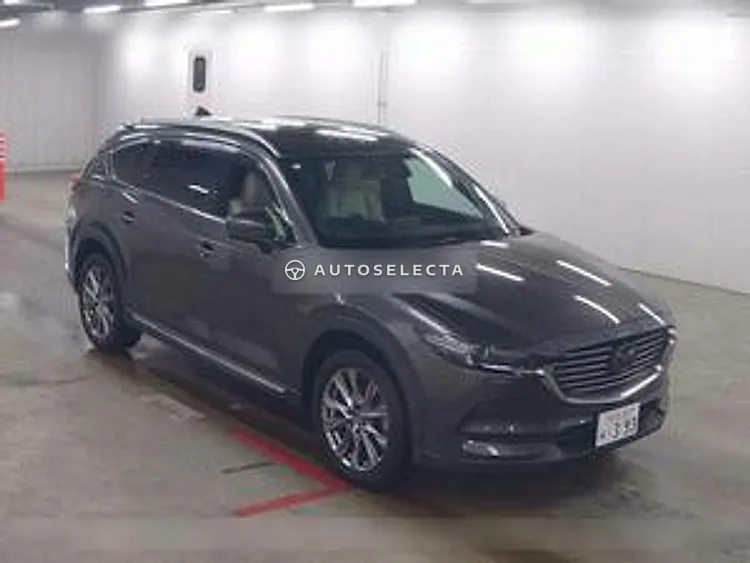 Mazda CX-8 2019, photo 1 of 1