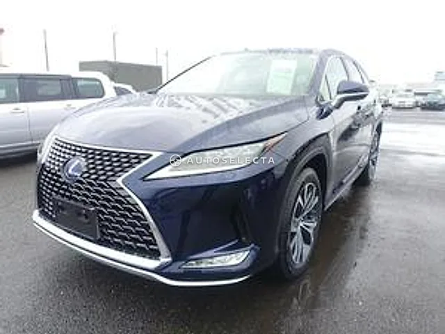 Lexus RX 2019, auction grade 4