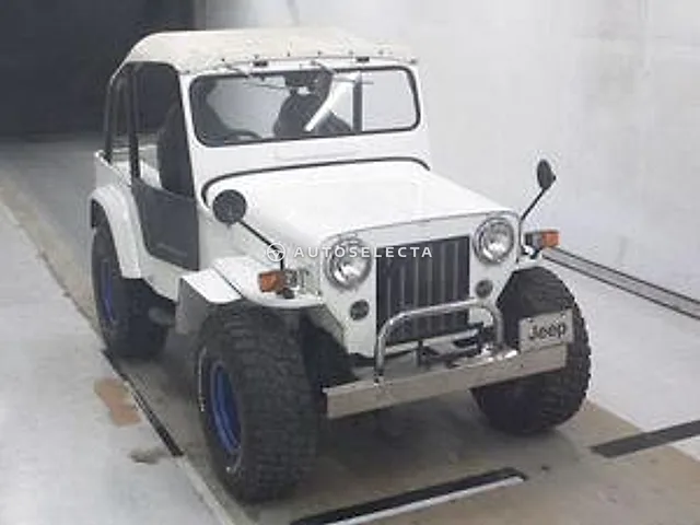 Mitsubishi Jeep 1988, auction grade R