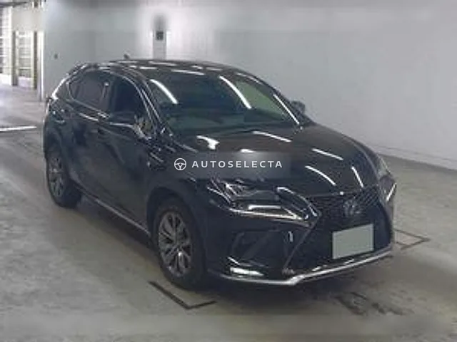 Lexus NX 2019, auction grade 4