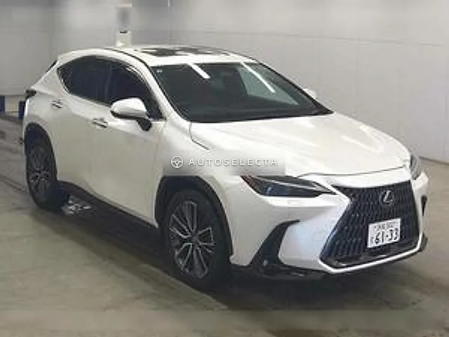 Lexus NX 2023, auction grade 4.5