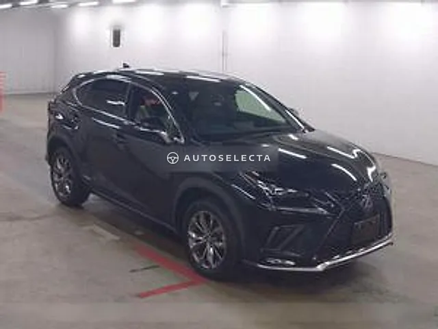 Lexus NX 2020, auction grade R