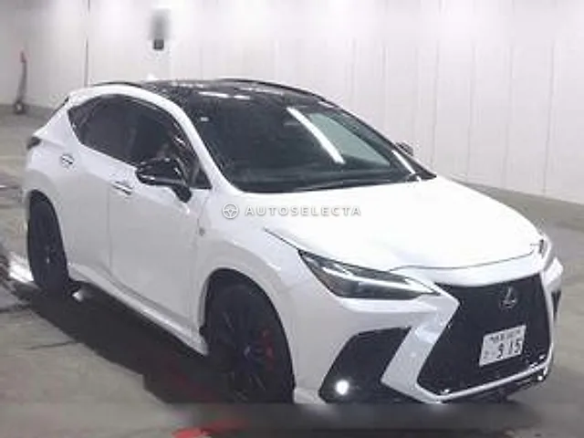 Lexus NX 2023, auction grade 5