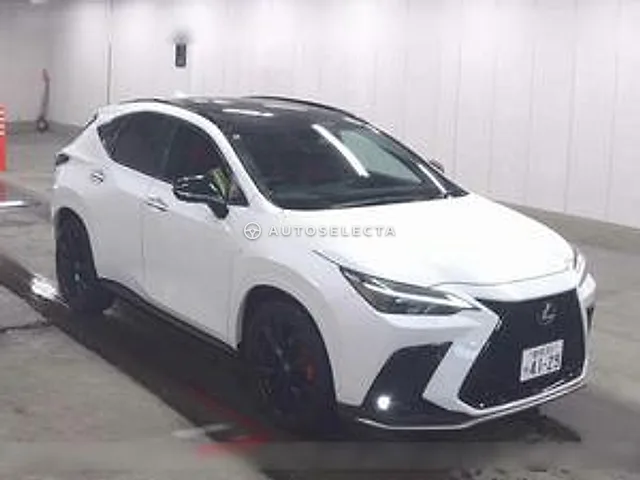 Lexus NX 2024, auction grade 5