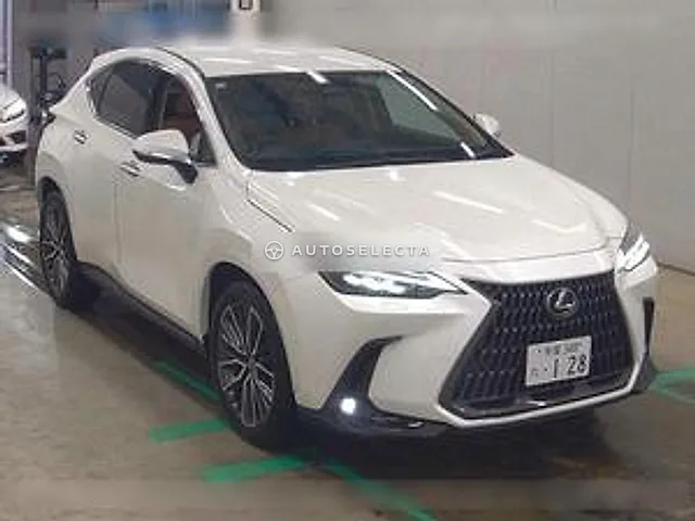 Lexus NX 2024, auction grade 5