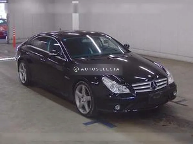 Mercedes-Benz CLS-Class 2008, auction grade 4.5