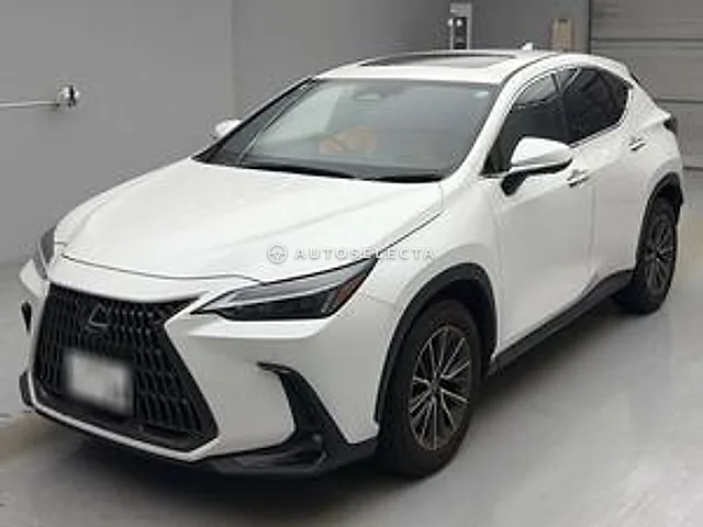 Lexus NX 2023, auction grade 4.5