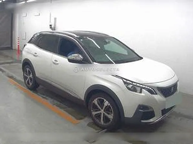 Peugeot 3008 2019, auction grade 4.5