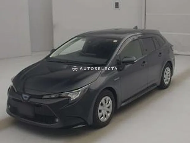 Toyota Corolla Wagon 2019, auction grade 3.5