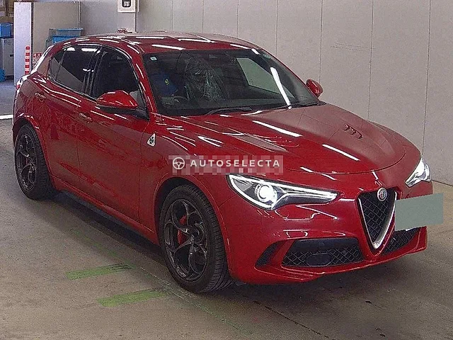 Alfa Romeo Stelvio 2019, auction grade 4.5
