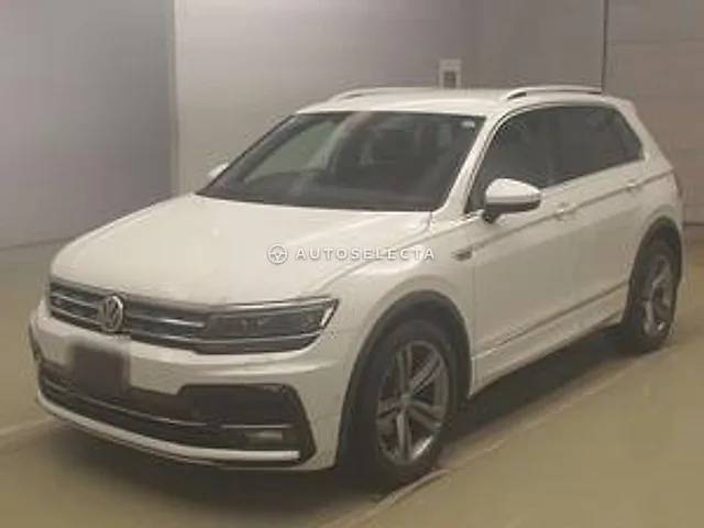 Volkswagen Tiguan 2018, auction grade 4.5