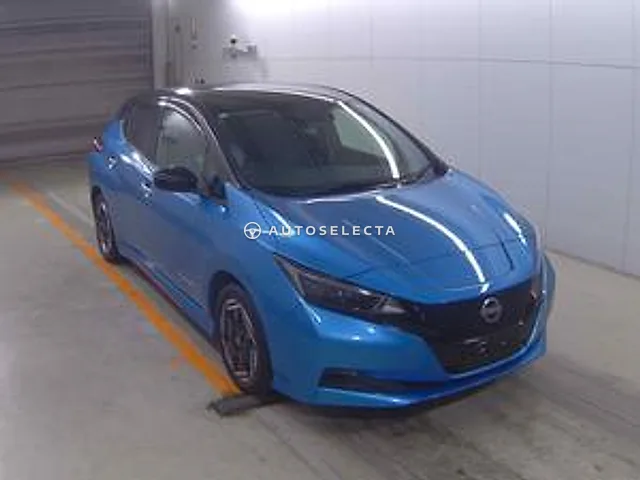 Nissan Leaf 2022, auction grade R