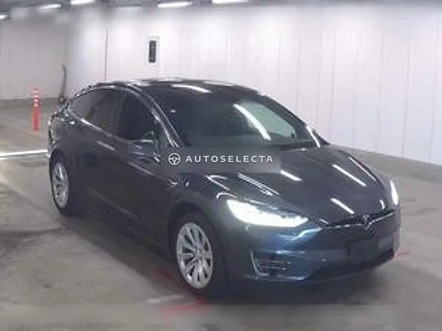 Tesla Model X 2019, auction grade 4