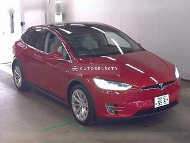 Tesla Model X 2019, auction grade 4.5