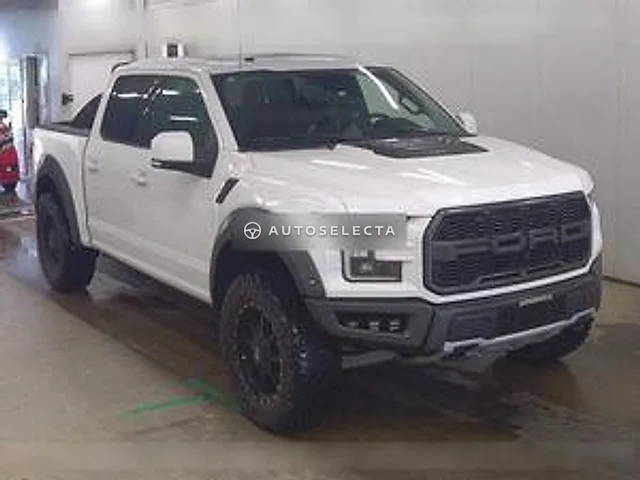Ford F-150 2019, auction grade 4