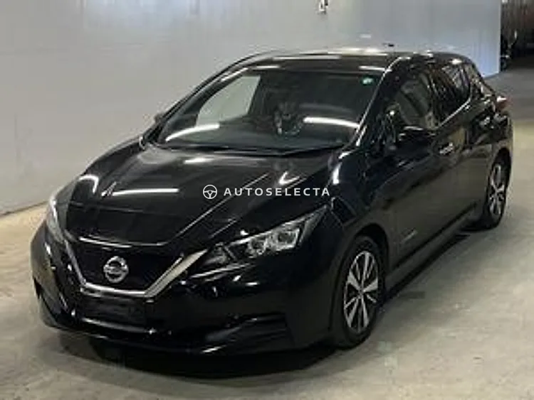 Nissan Leaf 2019, photo 1 of 1