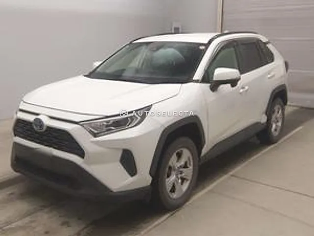 Toyota RAV4 2020, auction grade R