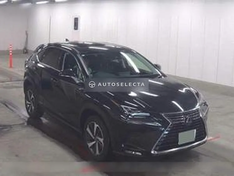 Lexus NX 2020, photo 1 of 1