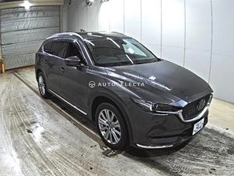 Mazda CX-8 2022, photo 1 of 1