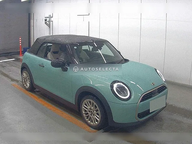MINI OP 2025, auction grade 5