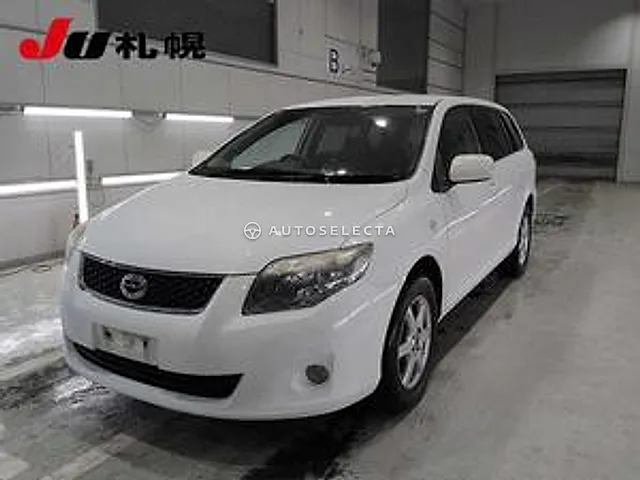 Toyota Corolla Fielder 2009, auction grade 3