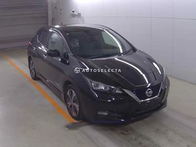 Nissan Leaf 2019, photo 1 of 1