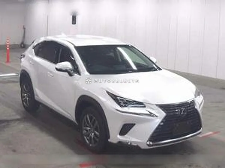 Lexus NX 2017, photo 1 of 1