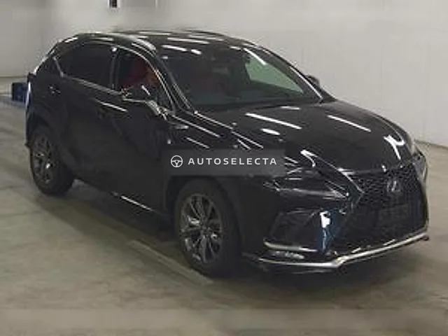 Lexus NX 2020, auction grade 4.5