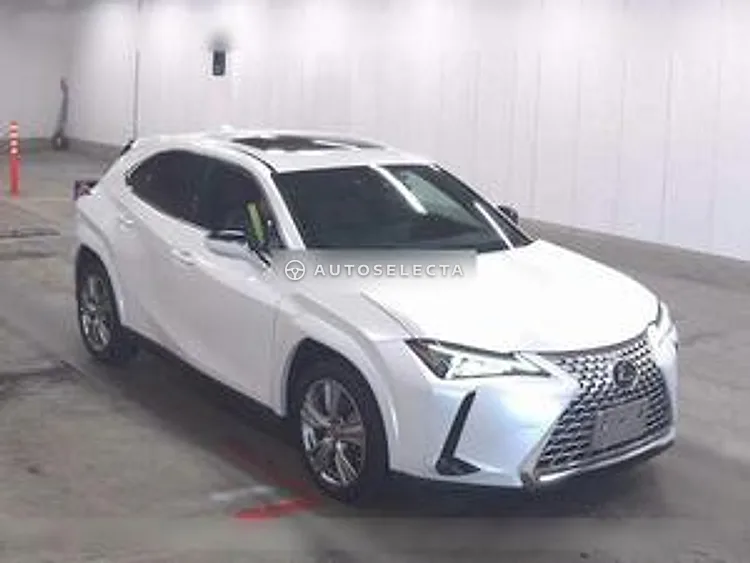 Lexus UX 2023, photo 1 of 1