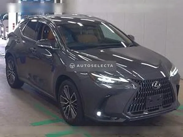 Lexus NX 2023, auction grade 4.5