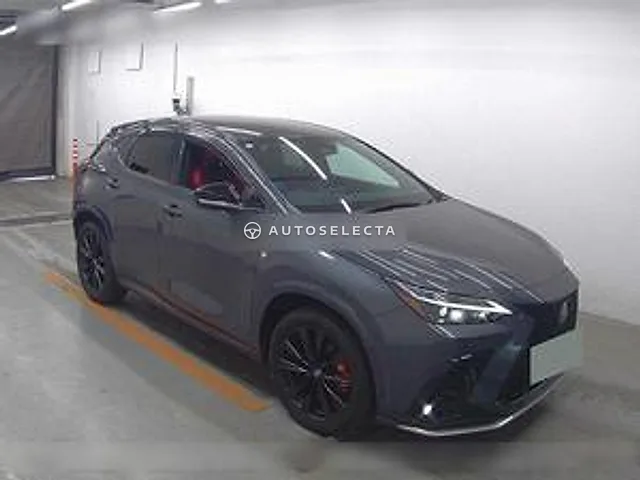 Lexus NX 2024, auction grade 4.5
