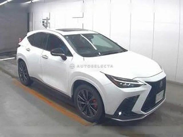 Lexus NX 2024, auction grade 6