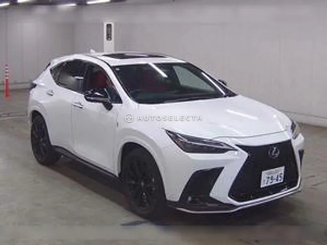Lexus NX 2024, auction grade 5