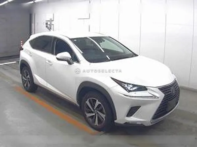 Lexus NX 2019, auction grade 4.5