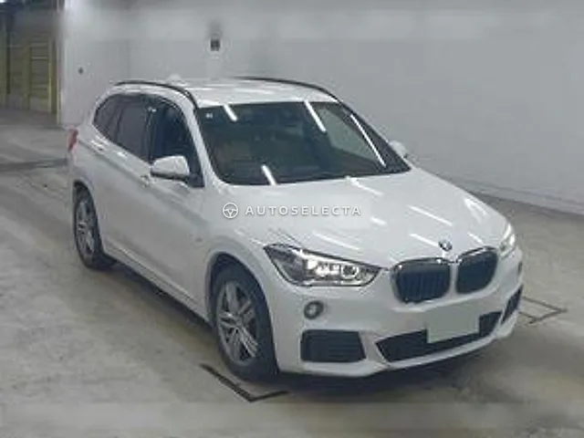 BMW X1 2019, auction grade 4.5