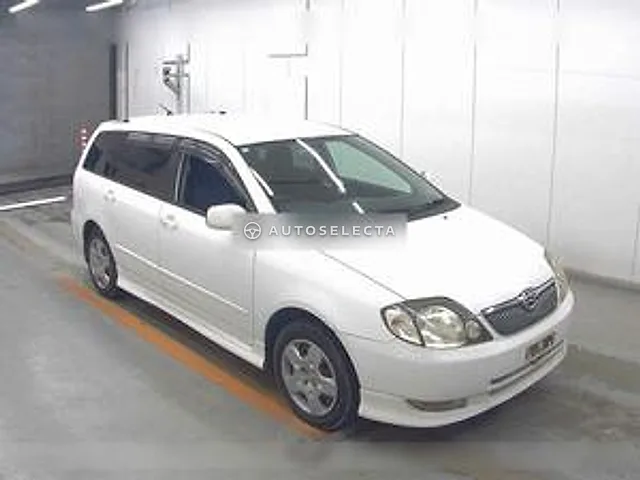 Toyota Corolla Fielder 2002, auction grade 3.5