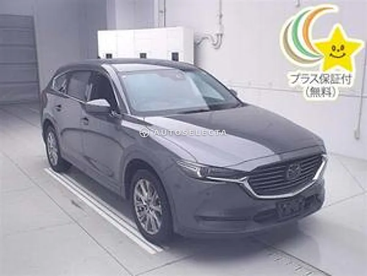 Mazda CX-8 2021, photo 1 of 1