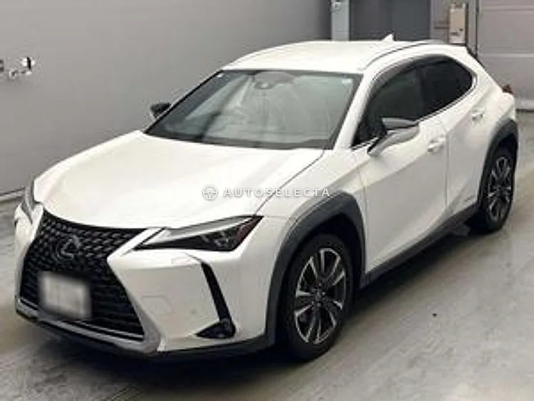 Lexus UX 2019, photo 1 of 2