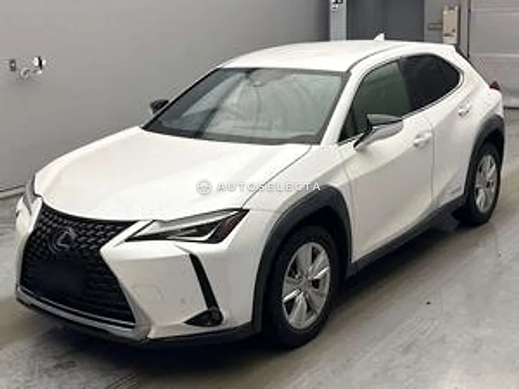 Lexus UX 2019, photo 1 of 2