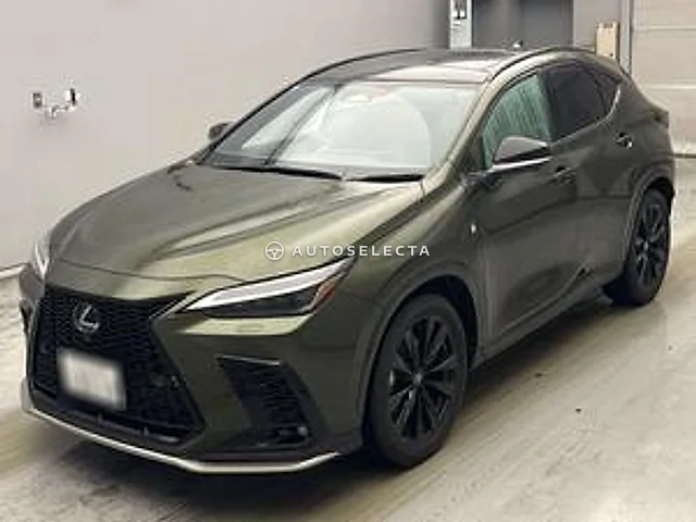 Lexus NX 2024, auction grade 4