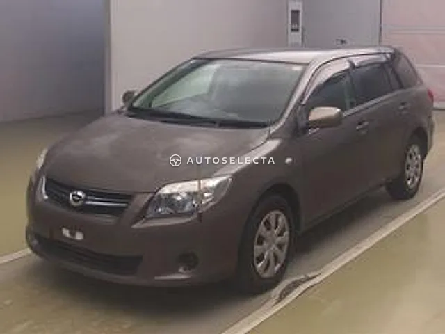 Toyota Corolla Fielder 2009, auction grade RA