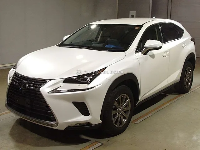 Lexus NX 2019, auction grade R