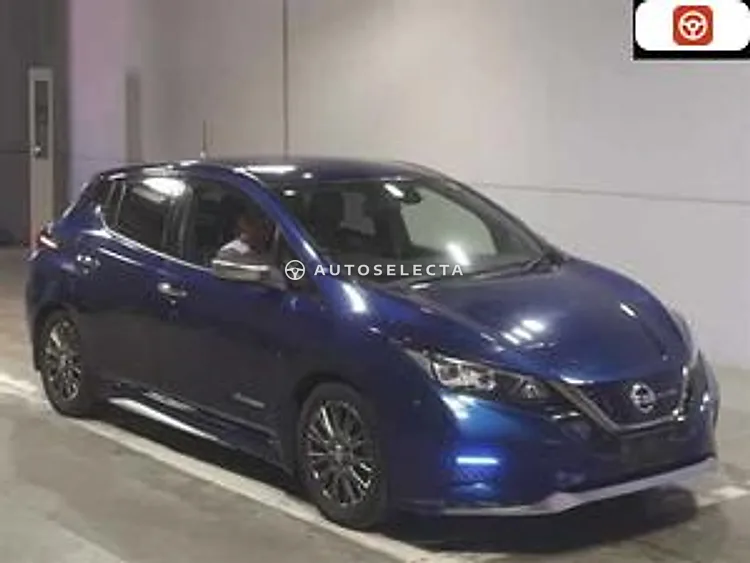 Nissan Leaf 2019, photo 1 of 1