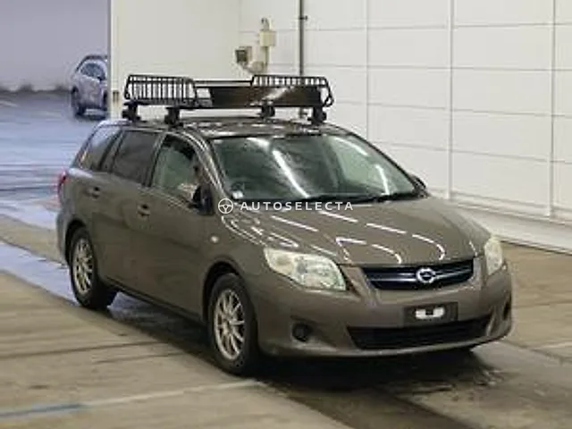 Toyota Corolla Fielder 2009, auction grade 3.5