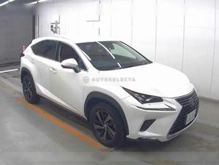 Lexus NX 2018, photo 1 of 1