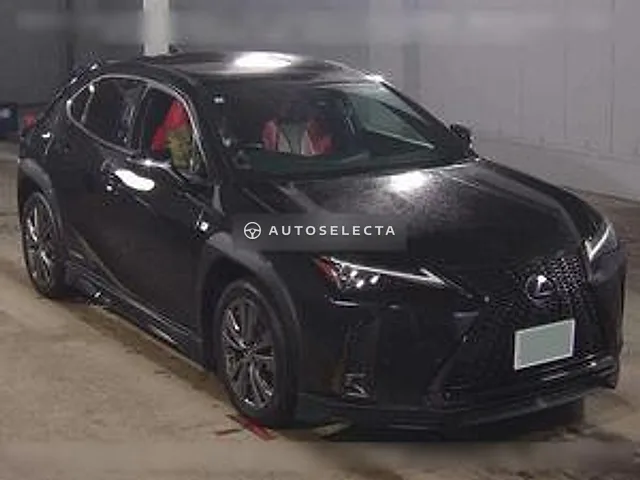 Lexus UX 2019, auction grade 4.5