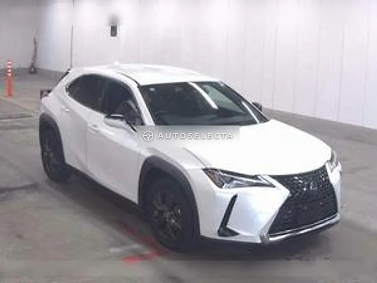 Lexus UX 2019, photo 1 of 6