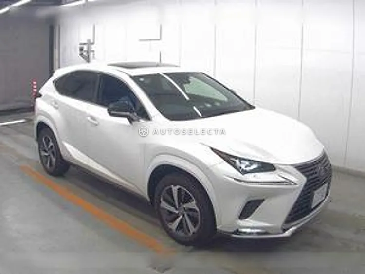 Lexus NX 2020, photo 1 of 1