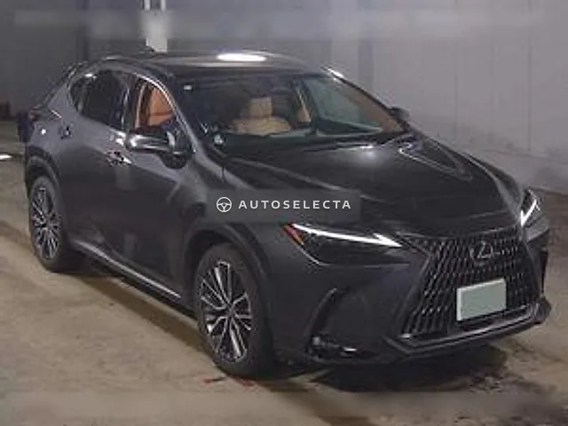 Lexus NX 2024, auction grade 5